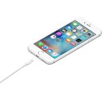 Apple Lightning-naar-USB-kabel (2 m) - Afbeelding 2